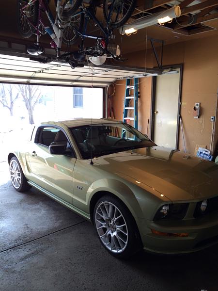 2005-2009 Ford Mustang S-197 Gen 1 Photo Gallery Lets see your latest pics!!!-image-3109054177.jpg