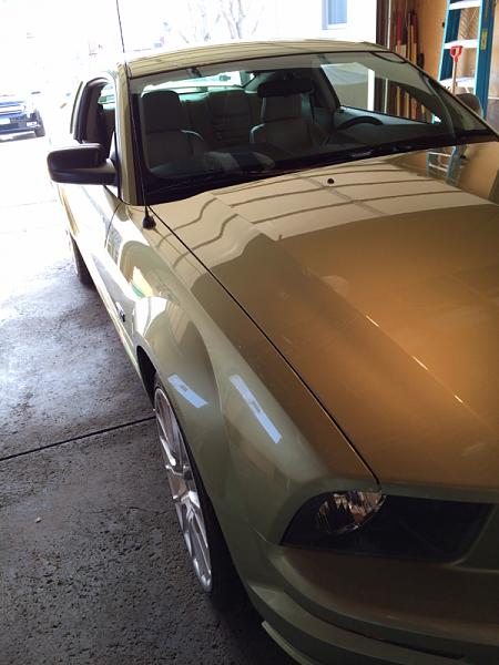 2005-2009 Ford Mustang S-197 Gen 1 Photo Gallery Lets see your latest pics!!!-image-298426309.jpg