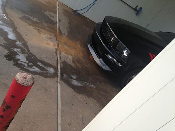 2005-2009 Ford Mustang S-197 Gen 1 Photo Gallery Lets see your latest pics!!!-image-831311597.jpg