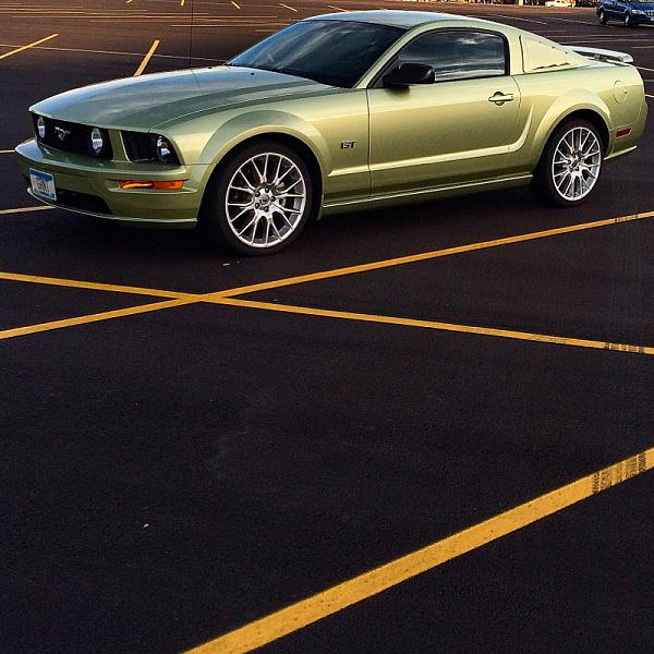 2005-2009 Ford Mustang S-197 Gen 1 Photo Gallery Lets see your latest pics!!!-image-1743350009.jpg