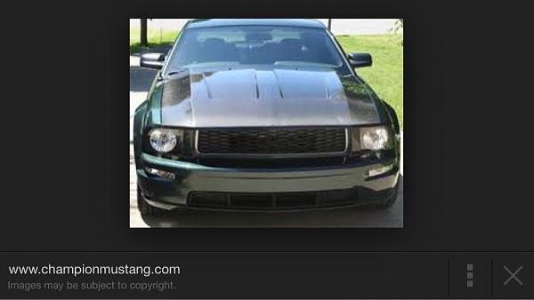 hood ideas for 09 gt-image-1862563710.jpg