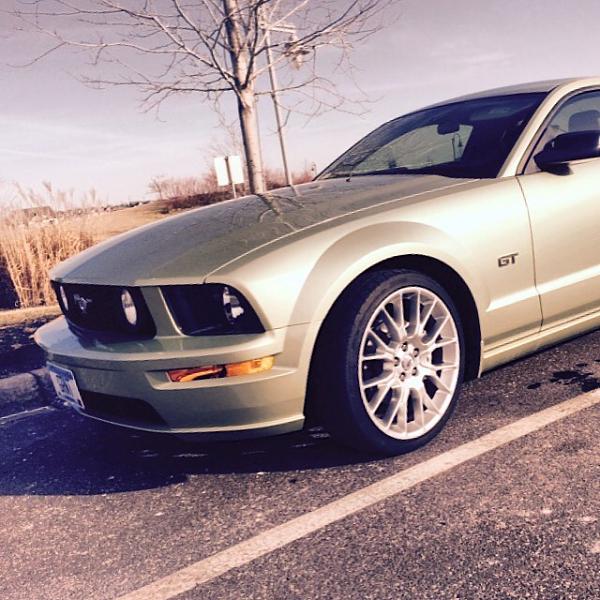 2005-2009 Ford Mustang S-197 Gen 1 Photo Gallery Lets see your latest pics!!!-image-2469945509.jpg