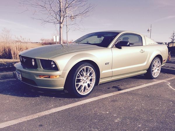 2005-2009 Ford Mustang S-197 Gen 1 Photo Gallery Lets see your latest pics!!!-image-2953304739.jpg