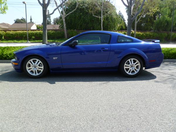 How many bought their's new and still own it?-mustanggtprofilemarch2013-copy.jpg