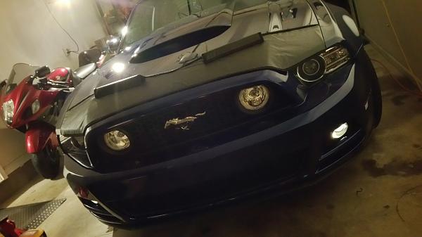 2005-2009 Ford Mustang S-197 Gen 1 Photo Gallery Lets see your latest pics!!!-2015-03-31-07.23.58.jpg