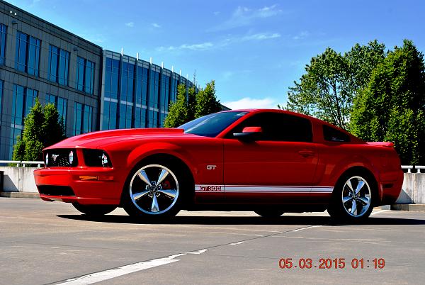 2005-2009 Ford Mustang S-197 Gen 1 Photo Gallery Lets see your latest pics!!!-dsc_1084.jpg