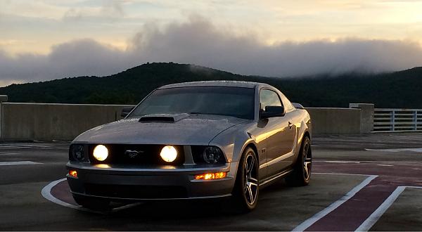 2005-2009 Ford Mustang S-197 Gen 1 Photo Gallery Lets see your latest pics!!!-photo167.jpg