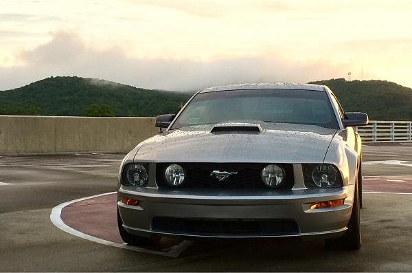 2005-2009 Ford Mustang S-197 Gen 1 Photo Gallery Lets see your latest pics!!!-photo78.jpg