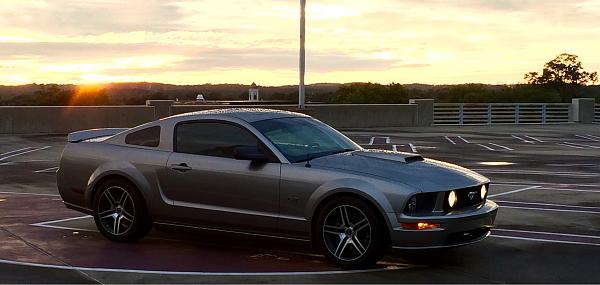 2005-2009 Ford Mustang S-197 Gen 1 Photo Gallery Lets see your latest pics!!!-photo919.jpg