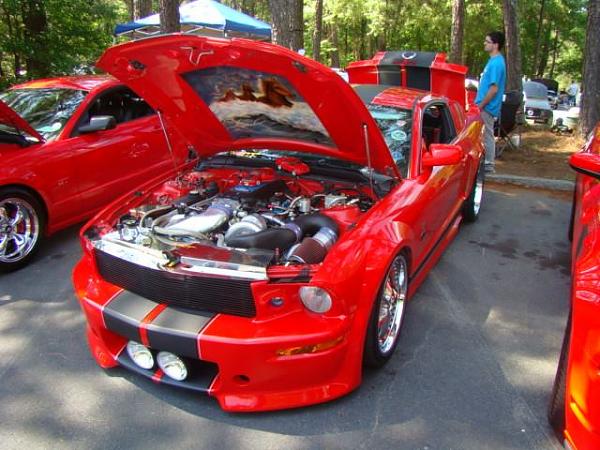 2005-2009 Ford Mustang S-197 Gen 1 Photo Gallery Lets see your latest pics!!!-stone-mt1.jpg