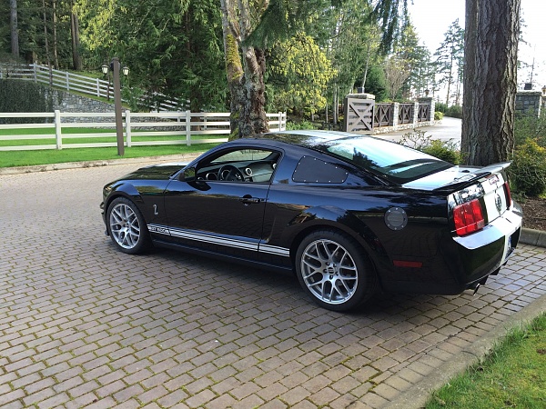 2005-2009 Ford Mustang S-197 Gen 1 Photo Gallery Lets see your latest pics!!!-image_a833f4d2a9b0a1753c349ad19d40c7b7499daeca.jpeg