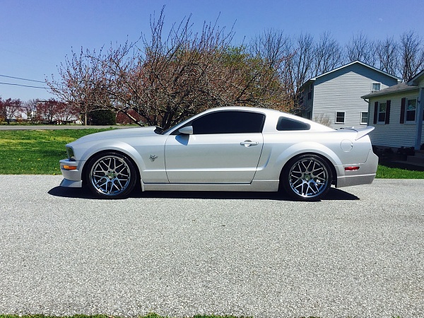 2005-2009 Ford Mustang S-197 Gen 1 Photo Gallery Lets see your latest pics!!!-26415610045_5778296726_b.jpg