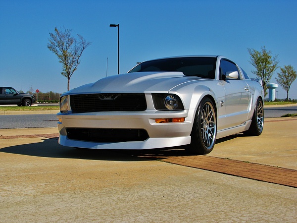 2005-2009 Ford Mustang S-197 Gen 1 Photo Gallery Lets see your latest pics!!!-26350216491_3399cecc0b_b.jpg