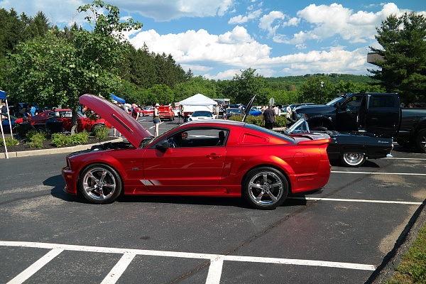 2005-2009 Ford Mustang S-197 Gen 1 Photo Gallery Lets see your latest pics!!!-sam_5792.jpg