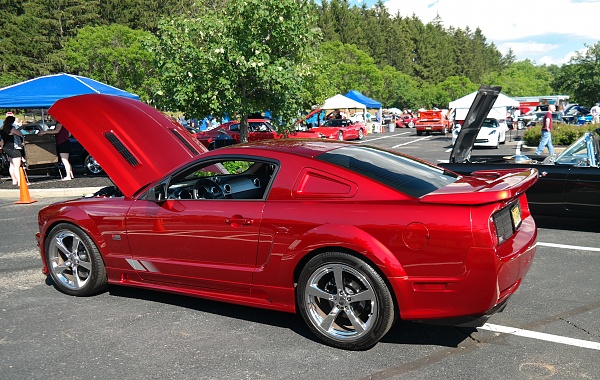 2005-2009 Ford Mustang S-197 Gen 1 Photo Gallery Lets see your latest pics!!!-sam_5793.jpg