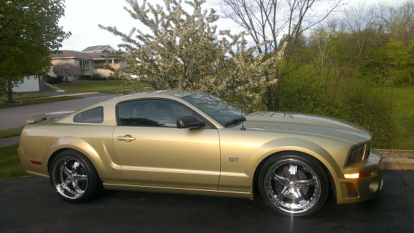 2005-2009 Ford Mustang S-197 Gen 1 Photo Gallery Lets see your latest pics!!!-car.jpg