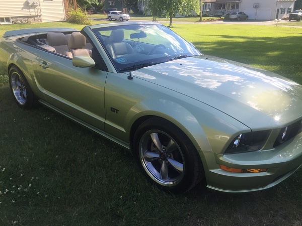 2005-2009 Ford Mustang S-197 Gen 1 Photo Gallery Lets see your latest pics!!!-img_2449.jpg
