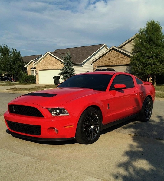 2005-2009 Ford Mustang S-197 Gen 1 Photo Gallery Lets see your latest pics!!!-gt500.jpg