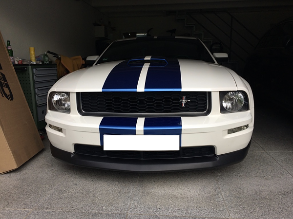 2005-2009 Ford Mustang S-197 Gen 1 Photo Gallery Lets see your latest pics!!!-iagqai9-tmon8tcsre9b5a_thumb_1571.png