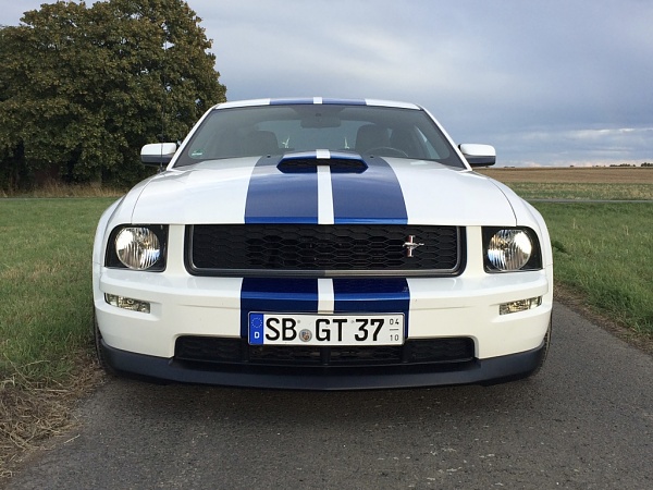 2005-2009 Ford Mustang S-197 Gen 1 Photo Gallery Lets see your latest pics!!!-p3qqz1ihsqychmqsz5scog_thumb_15b3.jpg