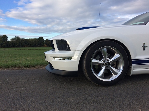 2005-2009 Ford Mustang S-197 Gen 1 Photo Gallery Lets see your latest pics!!!-unadjustednonraw_thumb_15af.jpg