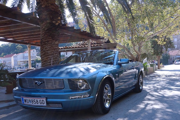 2005-2009 Ford Mustang S-197 Gen 1 Photo Gallery Lets see your latest pics!!!-dsc09891_small.jpg