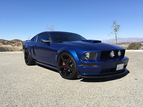 2005-2009 Ford Mustang S-197 Gen 1 Photo Gallery Lets see your latest pics!!!-photo588.jpg