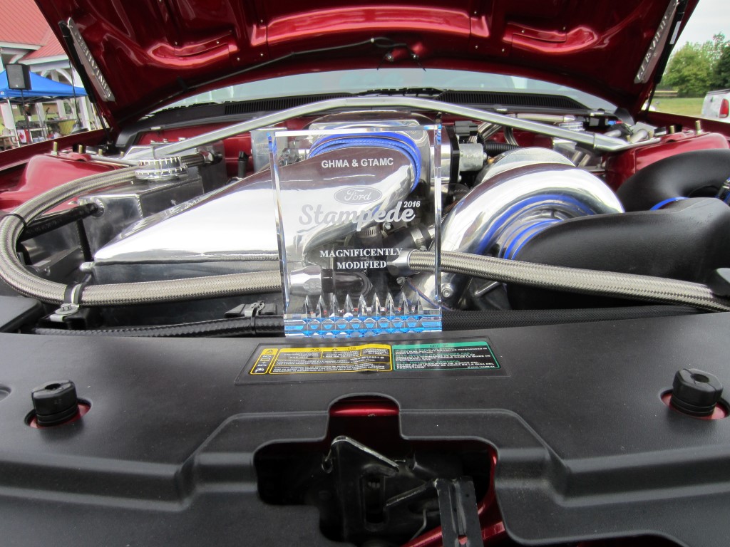 Name:  IMG_1029%20Medium_zpsjr9uxwbf.jpg
Views: 152
Size:  214.3 KB