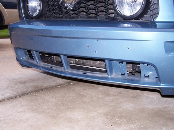 Hit a RACOON last night-front-end-2.jpg
