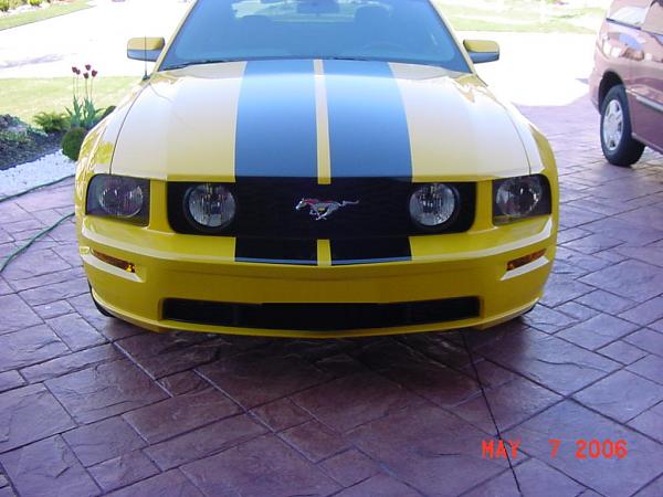 Somebody has installed vinyll stripes?-picture_008.jpg