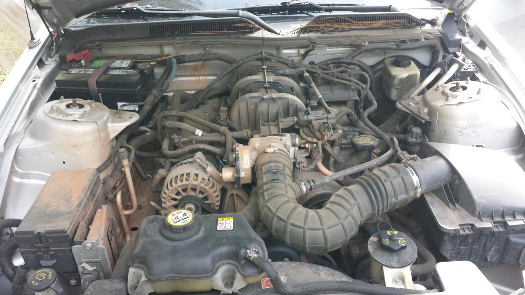 Name:  20141113_124143.jpg
Views: 69
Size:  95.9 KB