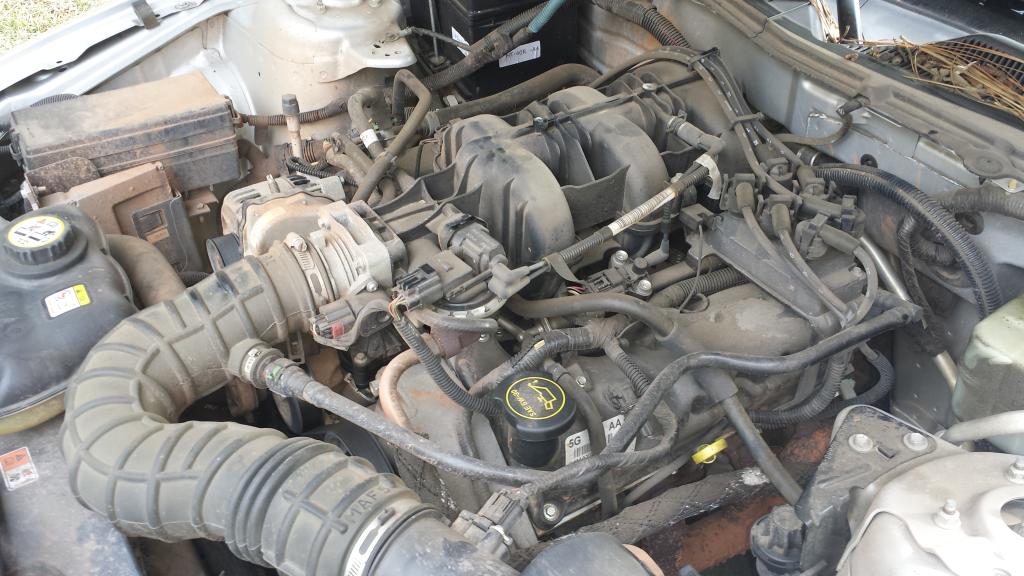 Name:  20141113_124208.jpg
Views: 90
Size:  105.4 KB