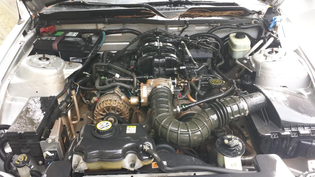 Name:  20141113_125816.jpg
Views: 73
Size:  110.8 KB