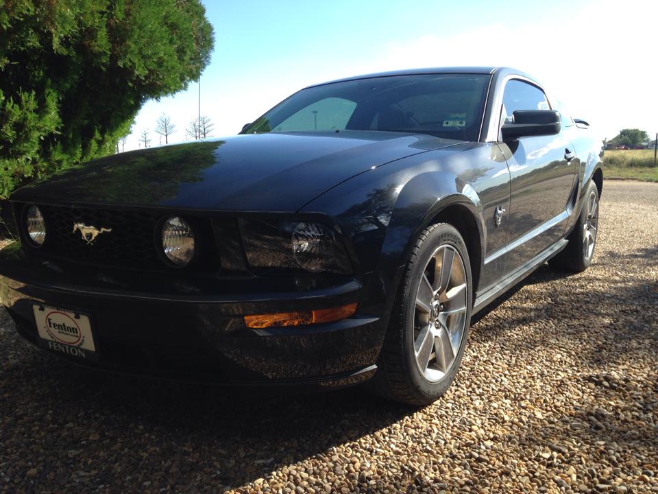 Name:  stang2_zps87686e92.jpg
Views: 94
Size:  108.5 KB