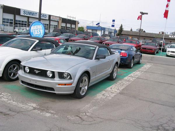 Ford dealers full of GT&#39;s, Verts as well-s30_stang2006dealer0009.jpg