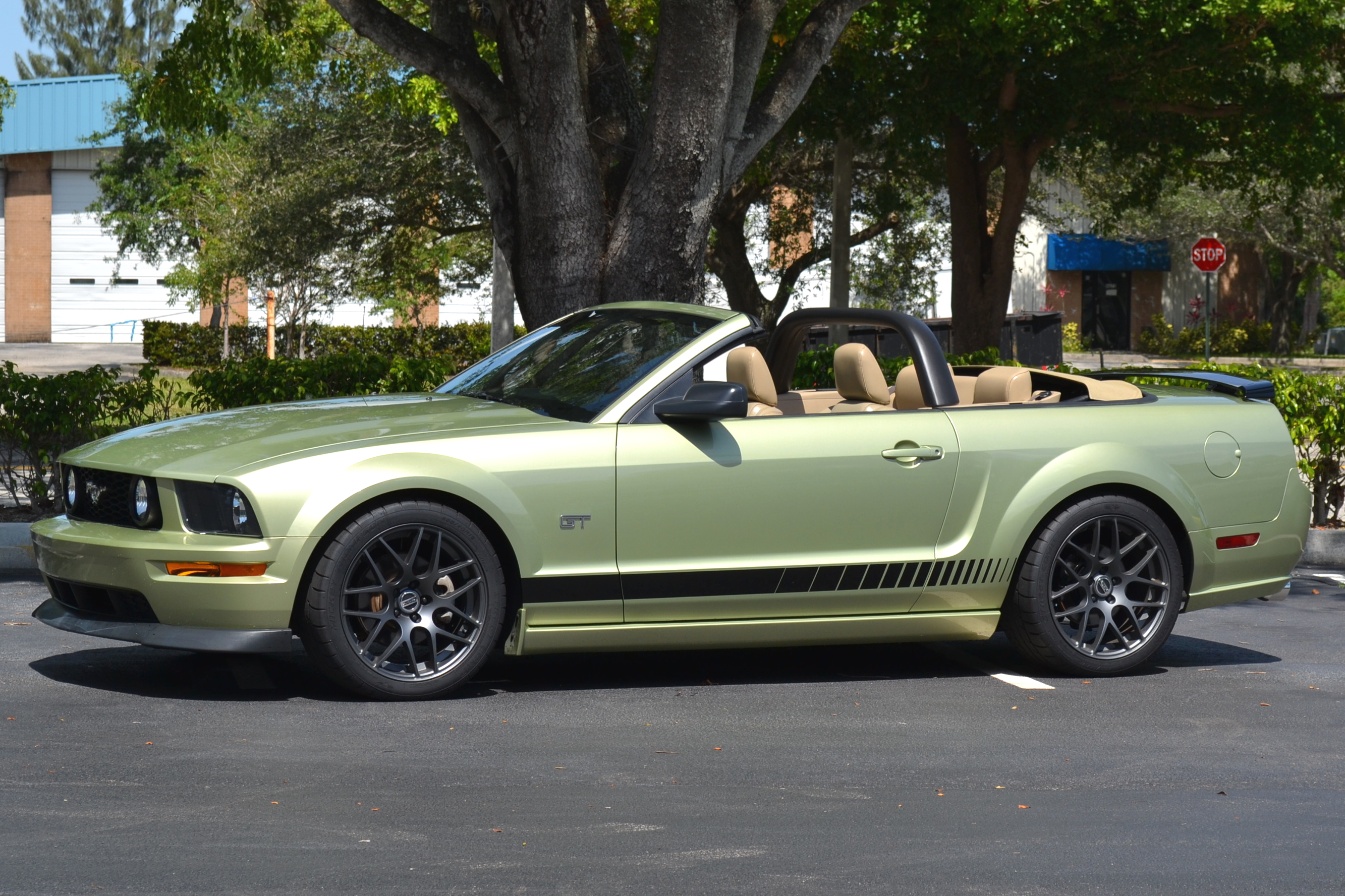 Name:  mustang_black_spoiler_zpsb40a1f28.jpg
Views: 203
Size:  2.95 MB