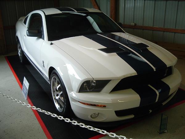 few pics from carlisle-carlise-pictures-202.jpg