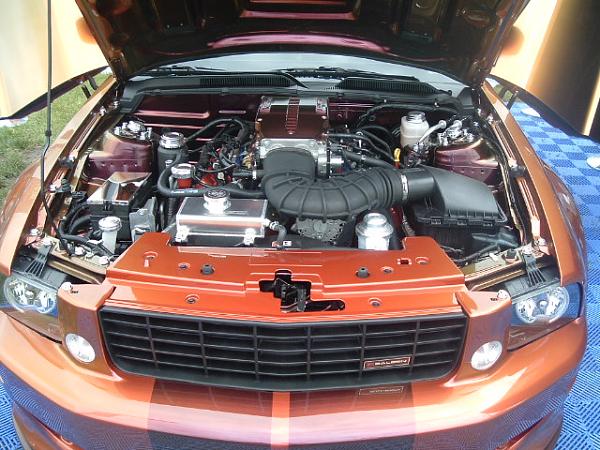 few pics from carlisle-carlise-pictures-195.jpg