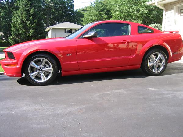 Made The Move-imgstang2.jpg