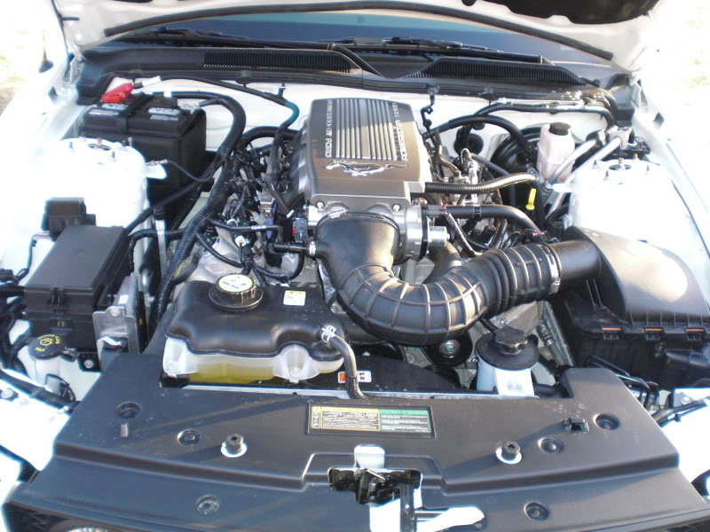 Name:  CIMG0585.jpg
Views: 199
Size:  136.8 KB