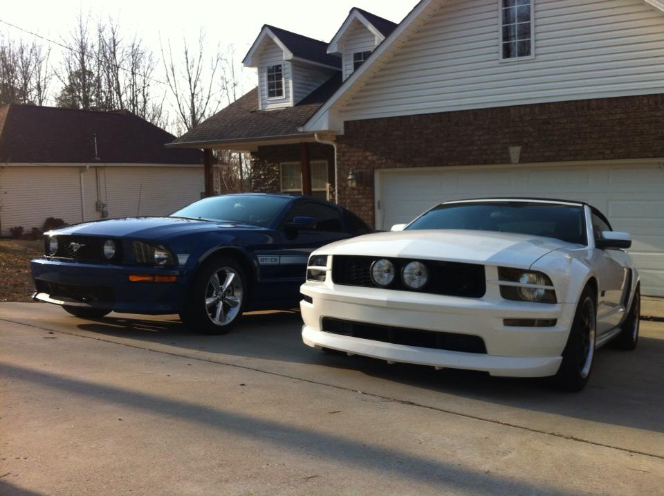 Name:  Stangs_zpsd527e9f8.jpg
Views: 121
Size:  84.7 KB