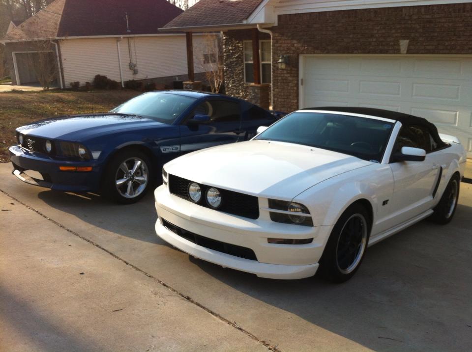 Name:  Stangs2_zps2494bd35.jpg
Views: 170
Size:  78.5 KB