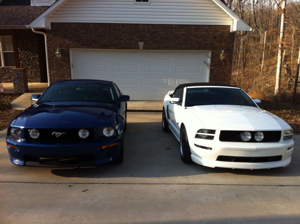 Name:  Stangs4_zps8dde3a95.jpg
Views: 143
Size:  85.4 KB