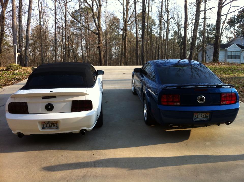 Name:  Stangs5_zps9b3d325c.jpg
Views: 112
Size:  117.9 KB