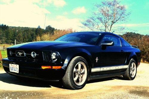 Name:  Mustang_zps4e09c3ca.jpg
Views: 125
Size:  175.7 KB