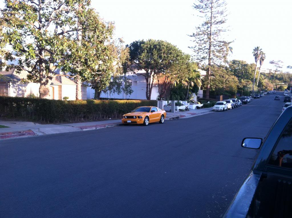 Name:  IMG_2788.jpg
Views: 60
Size:  121.5 KB