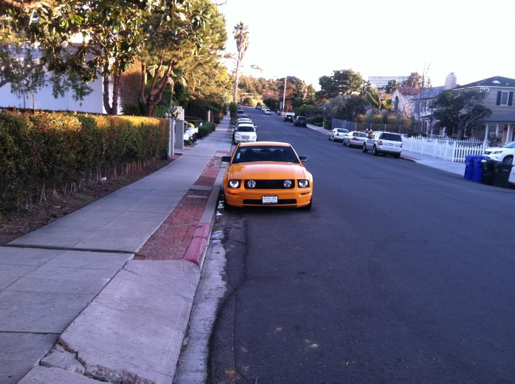 Name:  IMG_2790.jpg
Views: 79
Size:  114.4 KB