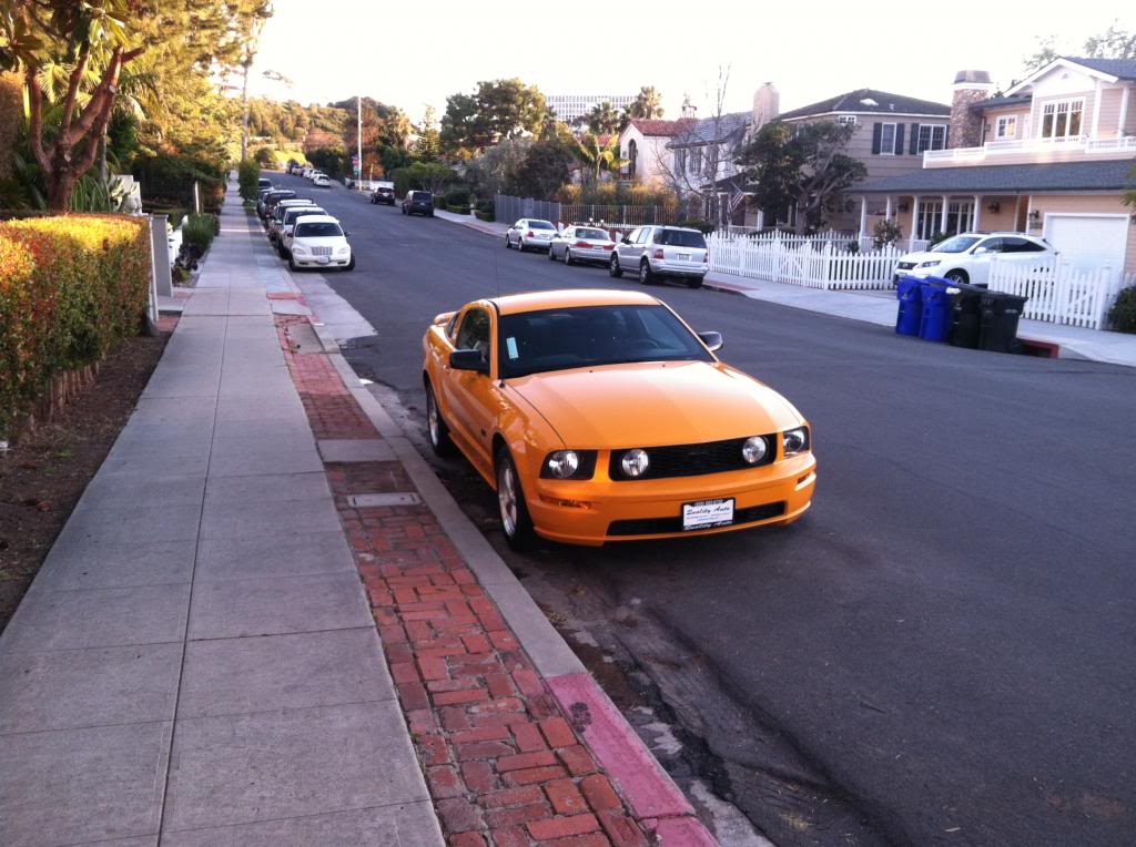 Name:  IMG_2791.jpg
Views: 63
Size:  116.9 KB