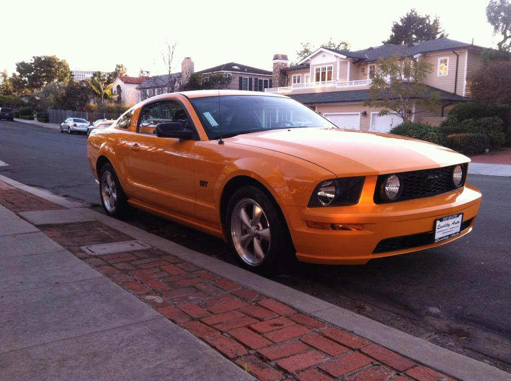 Name:  IMG_2793.jpg
Views: 88
Size:  95.8 KB