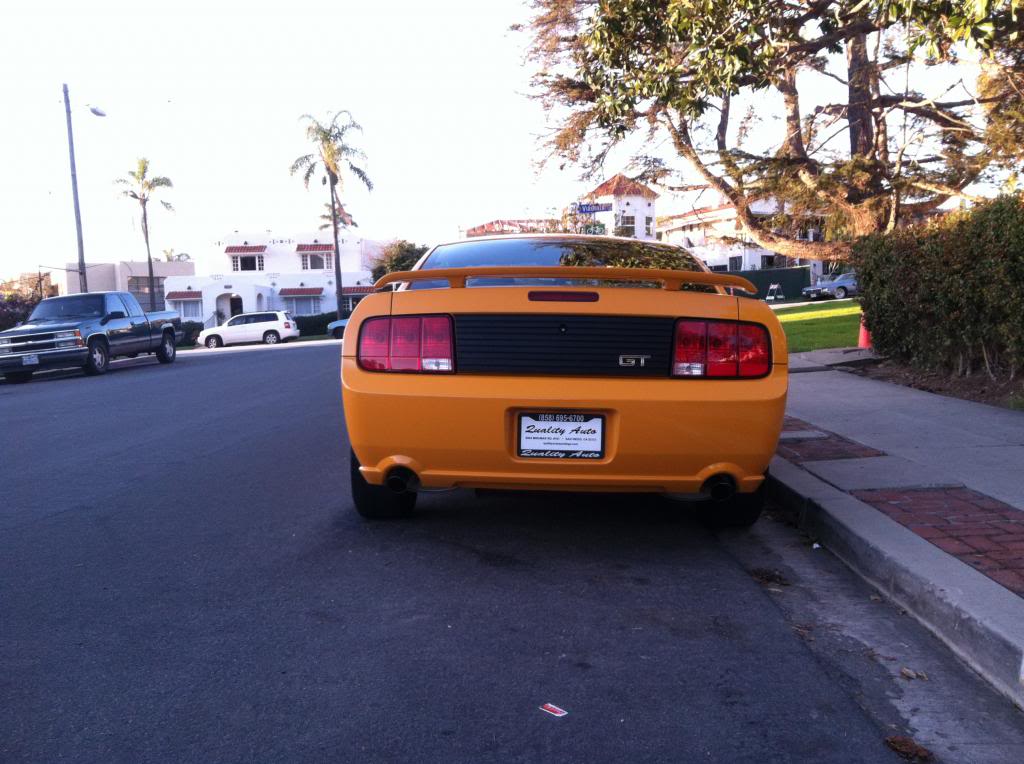 Name:  IMG_2795.jpg
Views: 61
Size:  109.3 KB